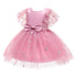 Girl's Star Stamped Dress Princess Dress Mesh Canopy Dress Children's Dress