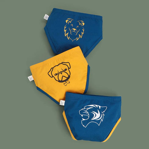 Boy's Underpants Three Packs