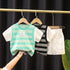 Boys Summer Short Sleeve Shorts Two-Piece Set