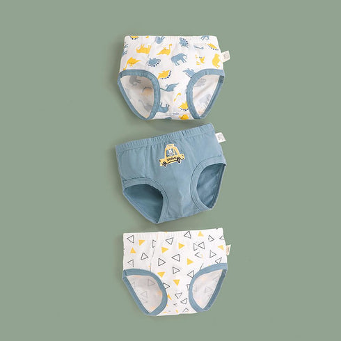 Boy's Underpants Three Packs