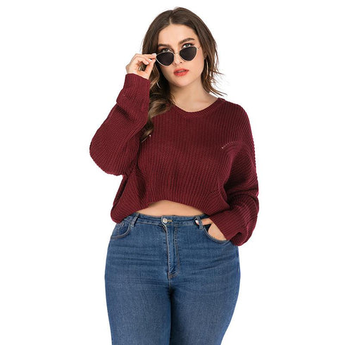 Large size women's sweater autumn and winter knitwear