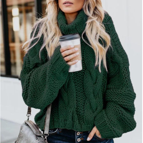 Fall/winter women's sweater