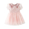 Summer Girl's Embroidered Dress Short Sleeve Mesh Princess Dress