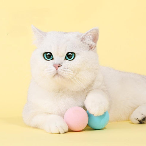 Cat Toys Self-Hi Depressed Artifact Xiao Mao Kitty Pet Cat Supplies Call Ball