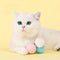 Cat Toys Self-Hi Depressed Artifact Xiao Mao Kitty Pet Cat Supplies Call Ball